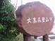 大高森公園:2011/11/24 14:16