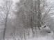 雪にけむる 1:2011/12/11 20:40