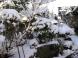 初積雪:2011/12/17 09:20