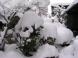 クリスマス寒波:2011/12/26 14:22