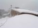 吹雪になりました:2012/01/04 14:25