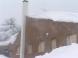 雪の中に:2012/01/04 14:43