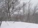 尾根沿いの風景:2012/01/04 15:09