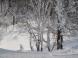 白い雪の塔:2012/01/20 12:05