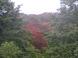 山燃える:2012/09/07 06:38