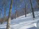 山スキーで:2012/12/30 08:44
