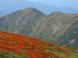 往路の風景 1:2014/09/24 08:53