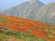 往路の風景 2:2014/09/24 08:55