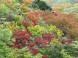 彩る周辺の風景:2014/09/25 15:03