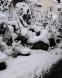 2017初の大雪:2017/01/12 09:34