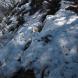 尾根沿いの雪 一部:2017/04/06 08:48