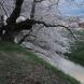 公園東 線路沿い:2017/04/18 19:15