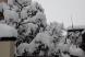 付着雪:2018/01/25 10:14