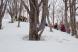 ブナの枝張りと積雪:2018/03/10 19:26