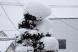 12/29 雪 1:2018/12/29 10:58