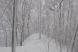 時折の風雪:2019/01/06 13:59