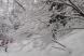 風雪の午後:2019/01/06 14:08
