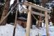 里山探訪:2019/02/06 08:51
