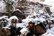 名残り雪?:2019/03/14 09:23