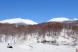 積雪295cm:2019/04/19 08:54