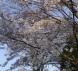 熊本からのたより:2018/03/23 13:25