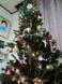 ツリー飾りました!:2006/12/23 21:50