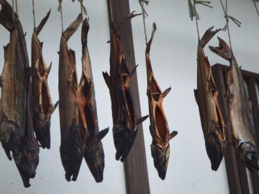 ちょっとグロい?/