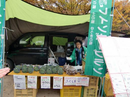 ヤバイかしらん?/