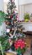 merry christmas!!:2012/12/24 21:26