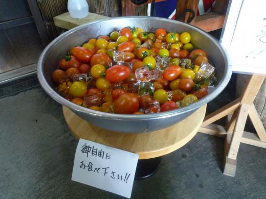 たくさん収穫できました/