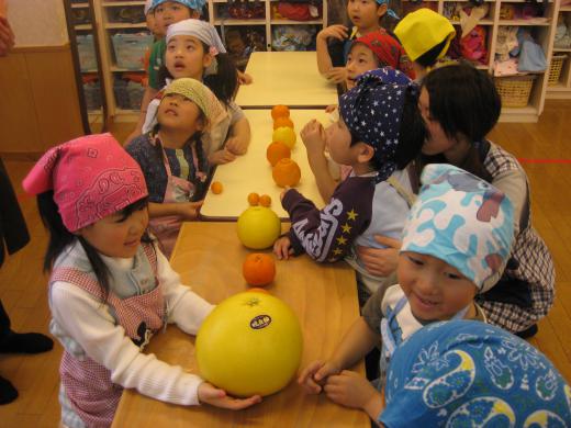 柑橘・名前あてっこゲーム♪/