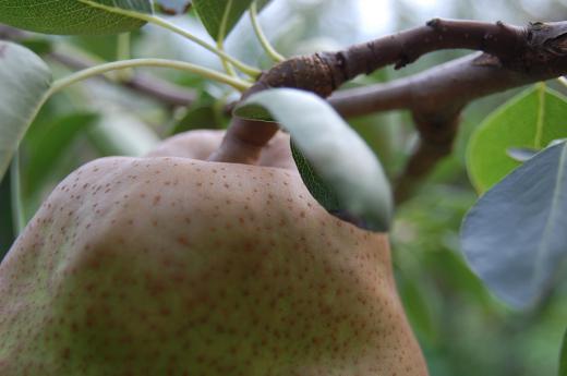 台風が来ませんように。。。/