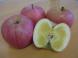 パイナップルりんご!?〜高徳りんご〜:2013/11/20 15:06
