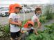 「畑活動」 〜野菜収穫!今年もいっぱい採れたよ〜:2025/08/19 12:18
