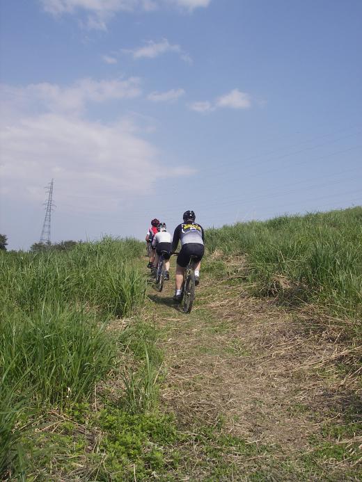 今週末はまどかカップ/