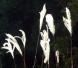 相談しましょう:2006/11/12 06:39
