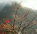 長い長い四季:2006/11/21 06:30
