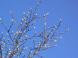 むなしさの中で:2007/01/28 06:23