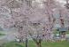 自分なりの思いで:2007/04/28 09:45