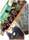 2016.10.30長井ダム百秋湖まつり:2016/10/30 00:32