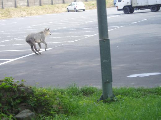 今晩は!/