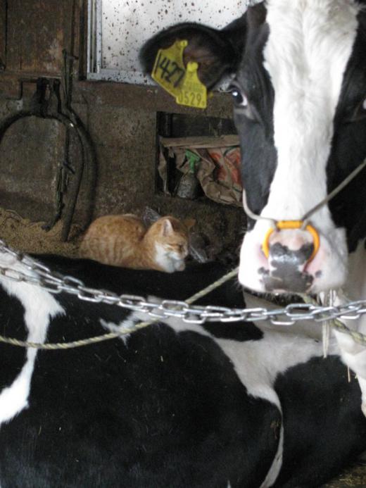 タッシー兄貴へ/