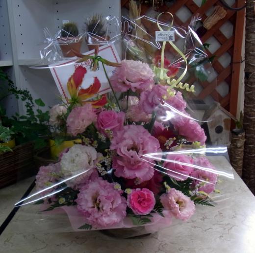 開店記念日のお祝いに ヤマガタンver9 山形の人脈データベース 開店記念日のお祝いに ヤマガタンver9 山形の人脈データベース