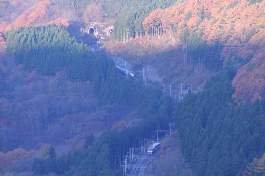 鉄道>今朝の落ち葉掃き11/15/