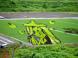田んぼアート:2007/05/26 10:58