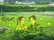 田んぼアート 2009:2009/07/16 20:20