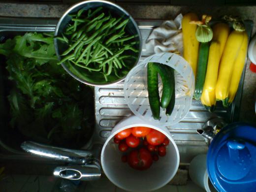 本音で付き合う大切さ/