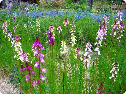 レンガの壁がそこに・・・チャンスを与えている。うまい事考えますね。/