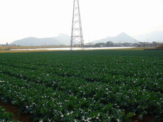 ¥µ¥È¥¦¥¥Ó¤Ã¤Æ¡¢º£º¢¼ý³Ï¤¹¤ë¤ó¤Ç¤¹¤Í¡©/