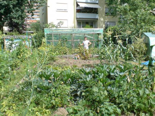 Îɤ«¤Ã¤¿Îɤ«¤Ã¤¿¡ª¡ª¤ªÈè¤ìÍͤǤ·¤¿¡£/